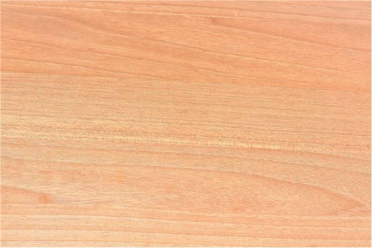 Basswood Texture