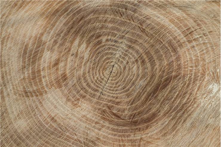 Wood Texture Pattern